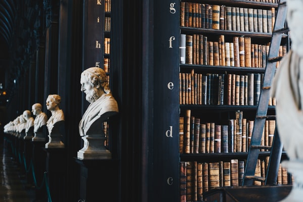 Libreria accademica con busti antichi